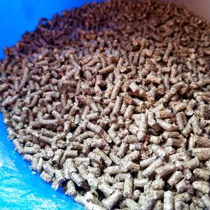 Пресс-гранулятор кормовой 650 кг/ч