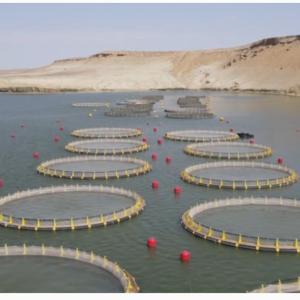 Baliq tutish uchun mo'ljallangan to'r maxsulotlari