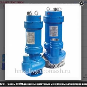 Электронасос ГНОМ25-20 Тр 