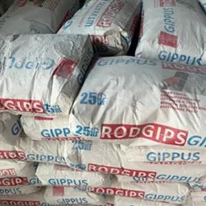 Gippus rodgips gips