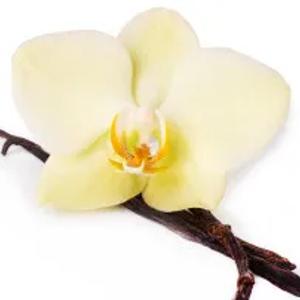 Отдушка с ароматом Ванили