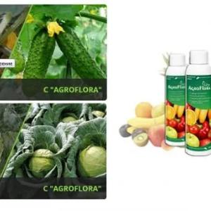 AgroFlora удобрение: получите впечатляющие результаты от применения