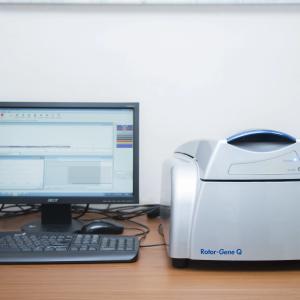 ПЦР Амплификатор Rotor Gene Q 6Plex real time