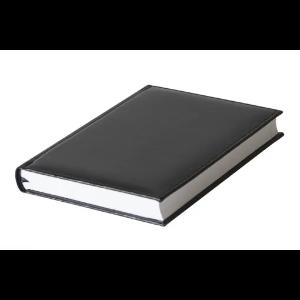 Aniqlanmagan kundalik