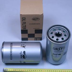 Фильтр масляный WP13/WP12.430 E3/4/5 D=110, H=195(LF16285/VG1246070031/1000428205/1000932196/612630010239/JX1016) AST Smart