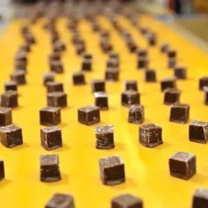 Конвейерные ленты из ПУ