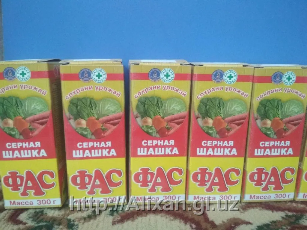 Oltingugurt tekshiruvi "Fas"