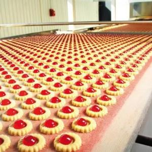 Конвейерные ленты из ПВХ для пищевых продуктов