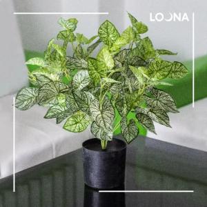 "Yashash kabi" sun'iy gullar