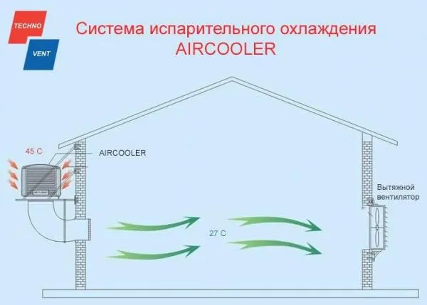 Bio sovutgichlar Air Cooler
