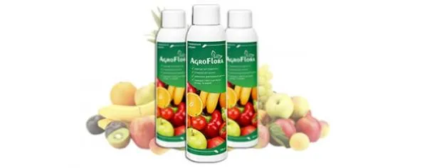 AgroFlora o'g'itlari: qo'llashdan ajoyib natijalarga erishing