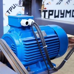 Ленточная пилорама Триумф