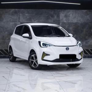 Электромобили Changan benben e star