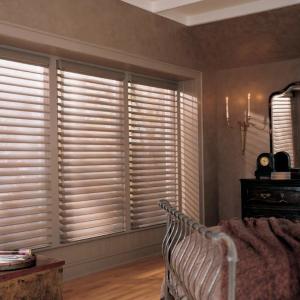 Жалюзи cилуэт