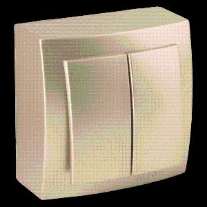  Выключатель Двухклавишный наружный