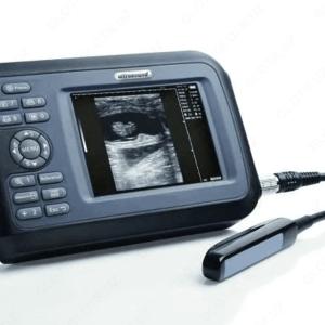 Ветеринарное УЗИ (сканер)