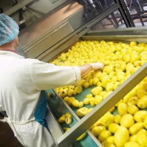 Конвейерные ленты из ПВХ для пищевых продуктов