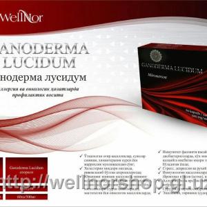 Ganoderma Lucidum | Ganoderma Lucidum