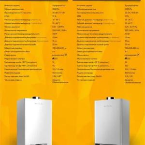 Газовые котлы Welkin 32 кВт \ 10,6 кВт