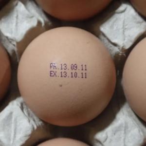 Маркиратор для яиц