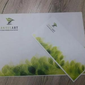 Цифровая печать (визитки, буклеты, блокноты, папки, брошюры)