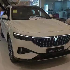 Электромобиль Voyah Free 2022