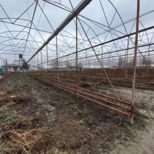 Issiqxonalar (engil qurilish)