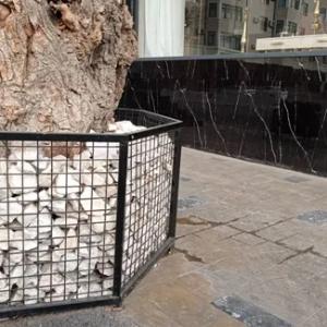 Каркасные габионы вокруг деревьев