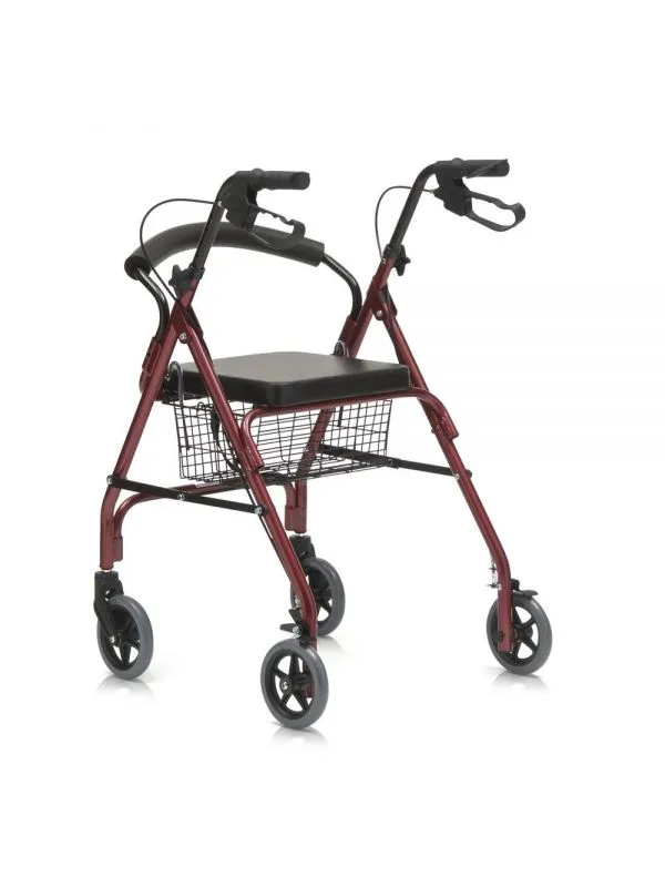 Universal yuruvchi-rollator DOLOMITE FUTURA