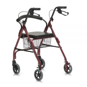 Универсальные ходунки-роллаторы DOLOMITE FUTURA