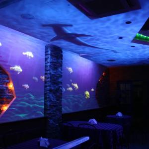 Флуоресцентные Невидимые краски