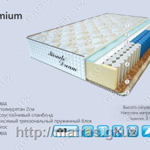 Anatomik matras Premium