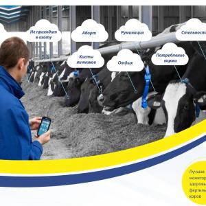 Smart ошейник . (Moo Monitor) Dairymaster