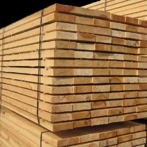 Qirrali yog'och, ignabargli turlar (qarag'ay, archa, archa)