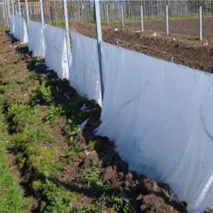 Qishloq xo'jaligi uchun Spunbond-Agrofibre