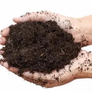 Universal tuproq "AJOYIB BOG"