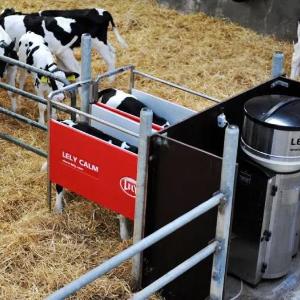 Buzoqlarni boqishning avtomatlashtirilgan tizimi Lely Calm