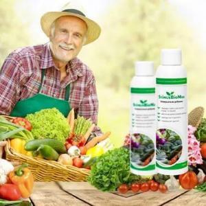 StimusBioMax удобрение: урожай на зависть соседям