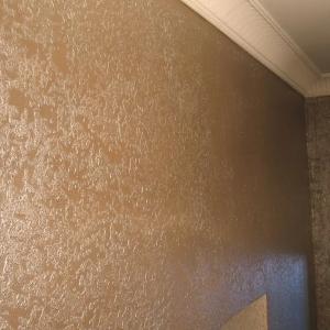 OIKOS-1 Venetsiya suvoq