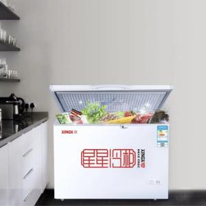 XINGX-200 muzlatgichi