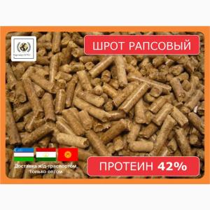 Шрот рапсовый (42% протеин на АСВ)