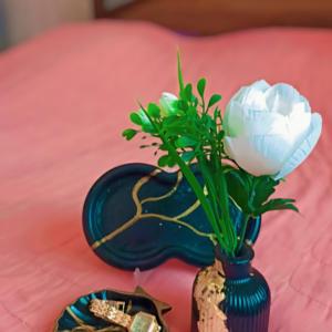 совга учун набор