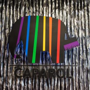 RAL NCS DCS xalqaro tizimi bo'yicha bo'yoqlarni kompyuter tanlash