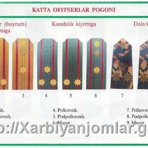 Погоны для старшего руководительского состава (2 полосы люрикс)