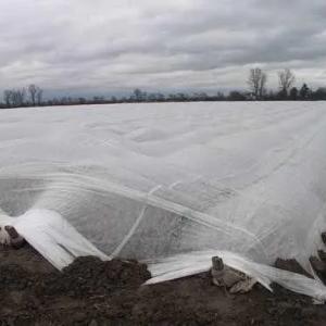 Агроволокно (СпанбонД) 42, Шир (1,6м и 3,2м) Оптовые Цены!!