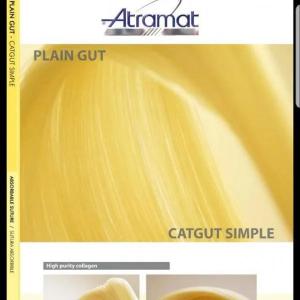 Kollagen jarrohlik ipi COLGUT