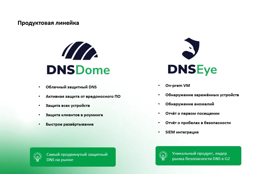 DNS химоя