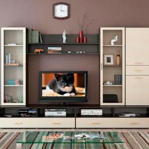 Yashash xonasi modeli # 119