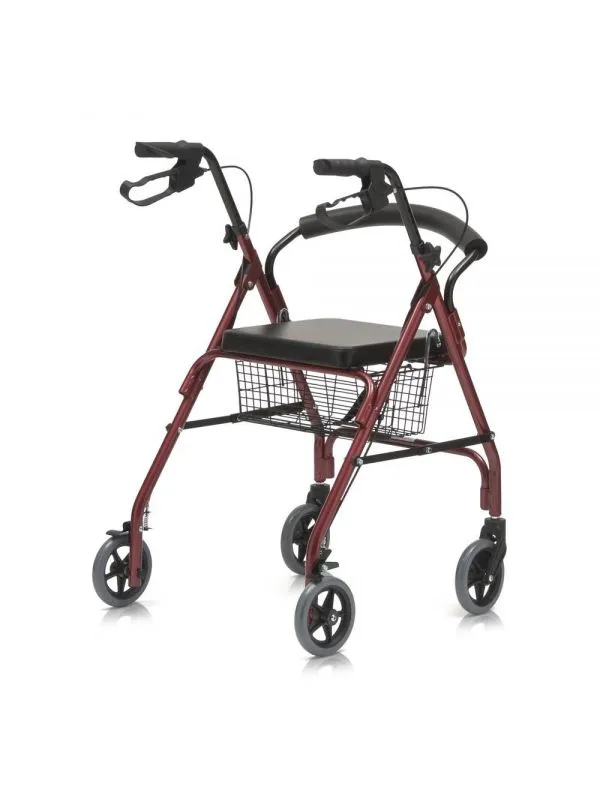 Universal yuruvchi-rollator DOLOMITE FUTURA