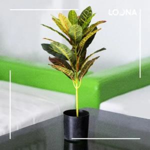 Искусственные цветы "Как живые"